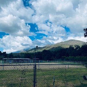 Meet your Posher, Alanna